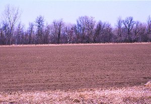 10% crop residue cover