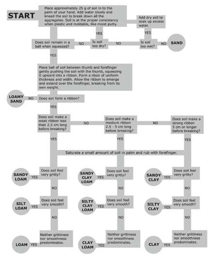 Determining Soil Texture by Feel