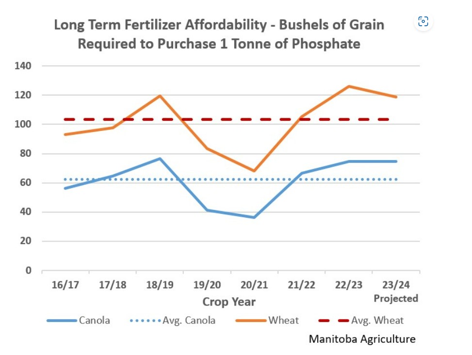  A graph showing that how much Bushels of Grain required to purchase 1 tonne of Phosphate from 2016 to 2024